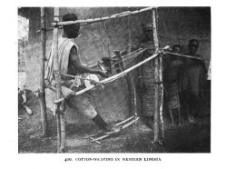 Cotton weaving johnston cottonweaving