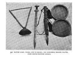 Native harp & other tools johnston harp